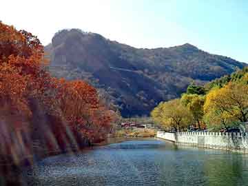 新澳门二四六天天彩，上海钢塑土工格栅